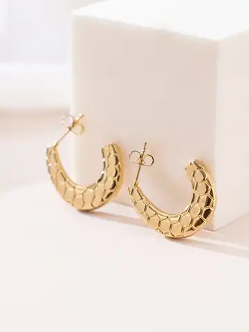 Stainless Steel Snake Scale Surface Hoop Earrings