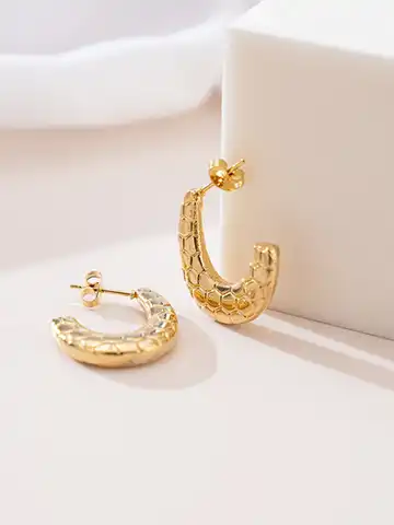 Stainless Steel Snake Scale Surface Hoop Earrings