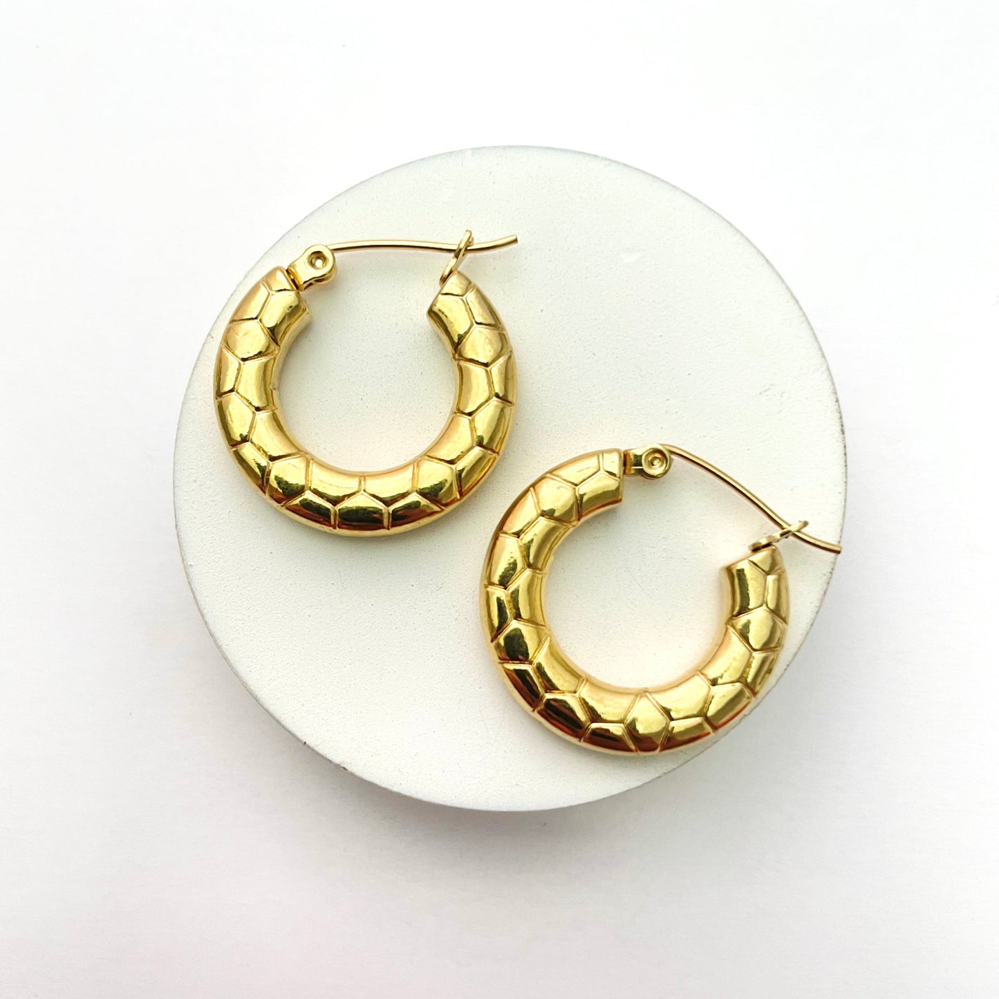 Stainless Steel Snake Surface Hoop Earrings