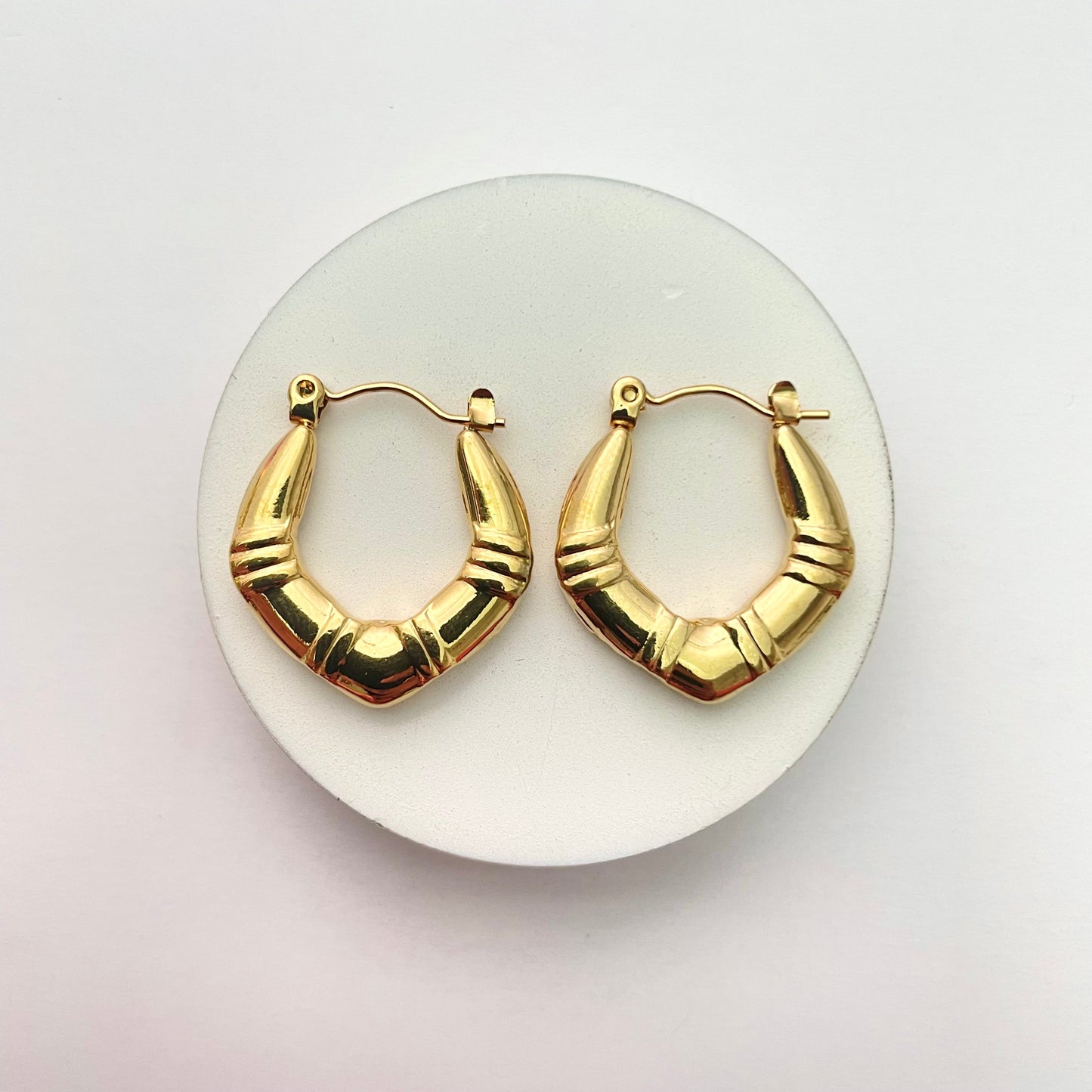 Stainless Steel Hoop Earrings